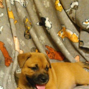 Meet your Posher, Charlotte